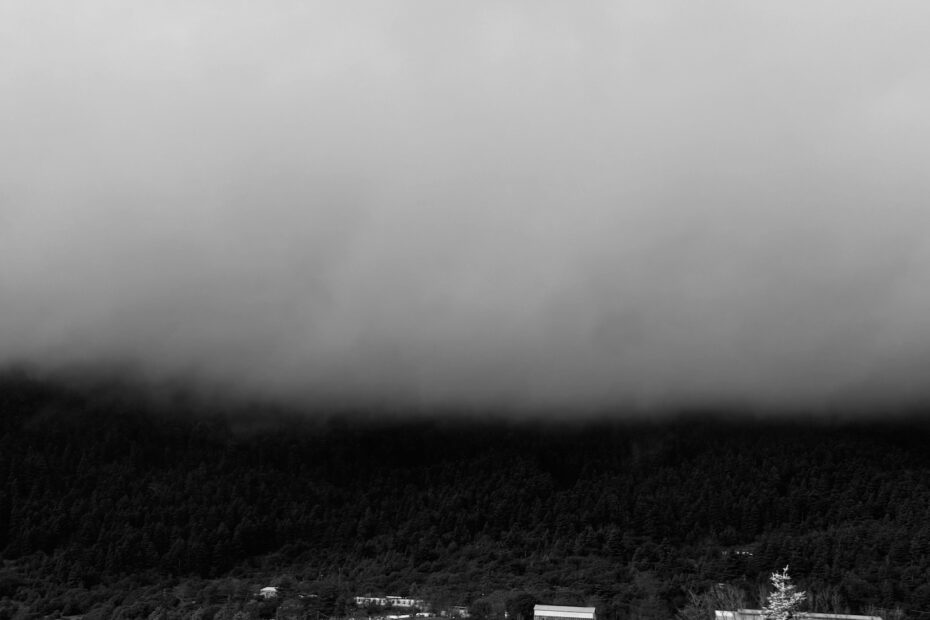 A heavy cloud covering a forest, symbolizing both literal hebel and a theology of absence