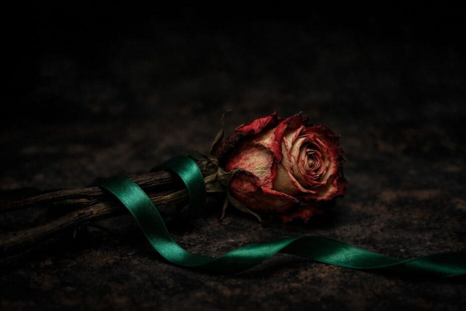 The Day Heaven Wept: A Time to Mourn